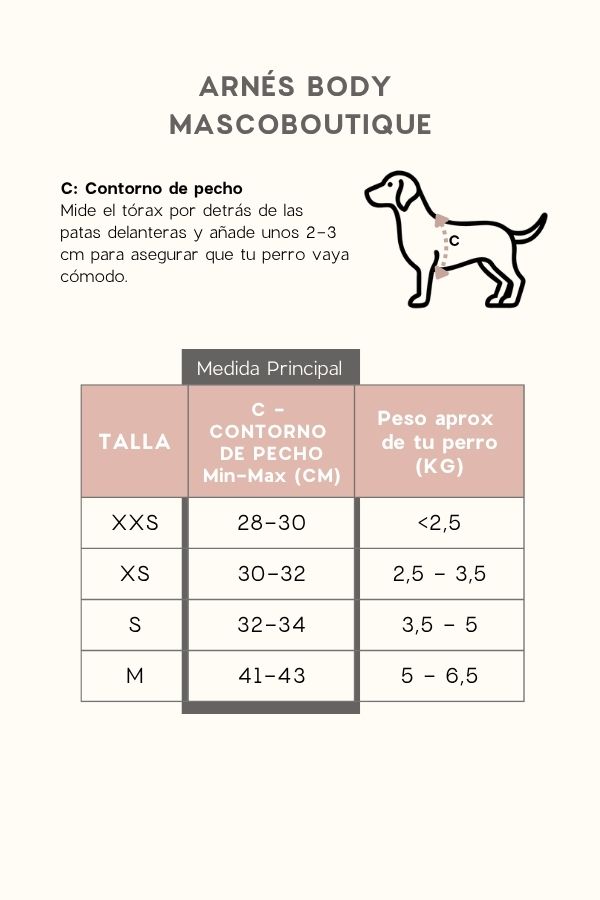 Guía Tallas Arnés Body Mascoboutique
